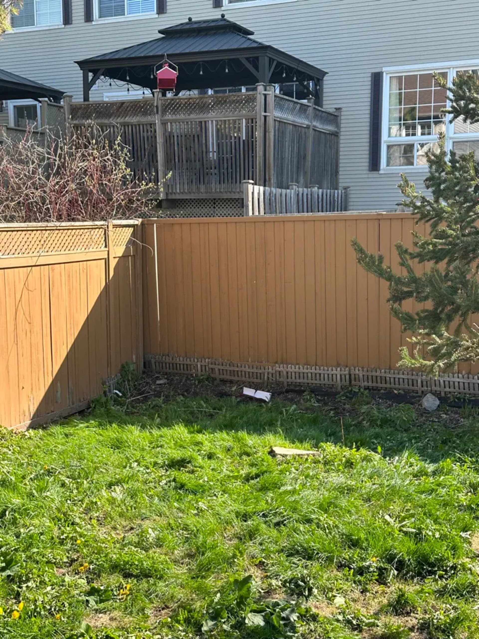 arborist is working in the client's backyard to removal a tree-after effect